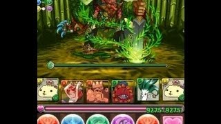 パズドラ【大天狗降臨！超級】ひだまりさんPT　ノーコン！攻略