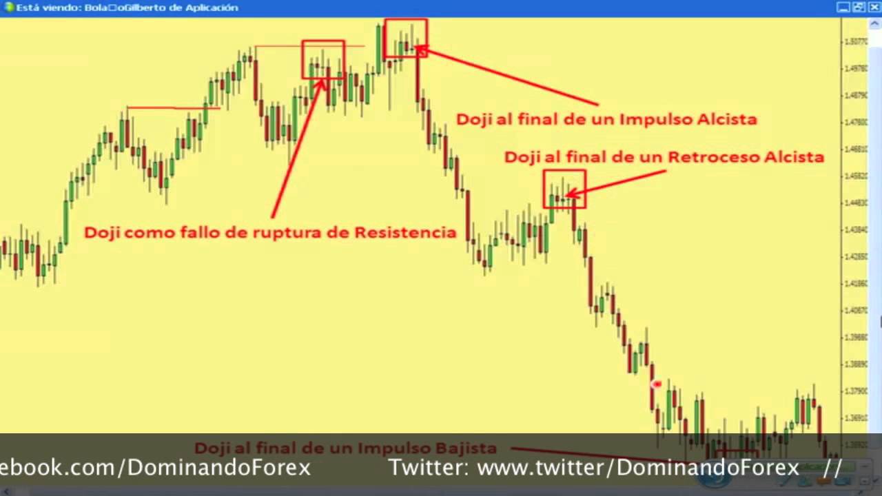 Dominandoforex pet