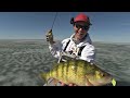 iPerch - Basic Trophy Perch Attack - Uncut Angling - January 6, 2013