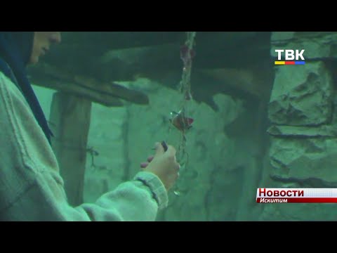 Короткометражные фильмы оценили гости культурного пространства «Квадрат» Короткометражные фильмы оценили гости культурного пространства «Квадрат»