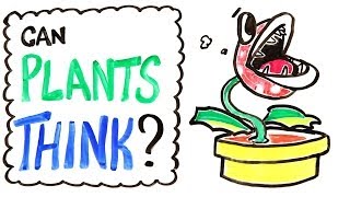 Can Plants Think?