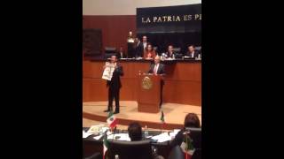 Joven irrumpe y grita traidores a senadores en el Senado