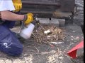 C'est pas sorcier -MOUETTES, GOELANDS & Cie : Les oiseaux de mer