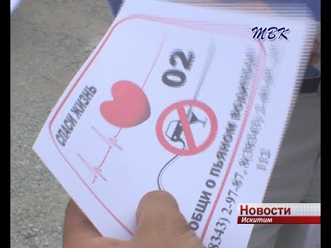 «Увидел пьяного за рулем, позвони в полицию»: искитимцев призвали помочь в выявлении нарушителей