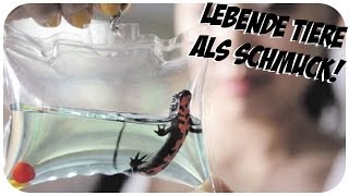 Tierquälerei deluxe! Lebendige Tiere als Schlüsselanhänger!