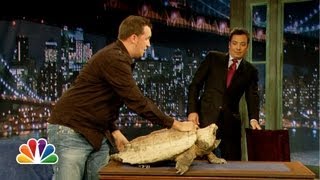 Jeff Musial: Green Iguana, Fennec Fox (Jimmy Fallon)