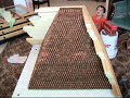 Guinness World Record Penny Pyramid- 300 hours in under 3min