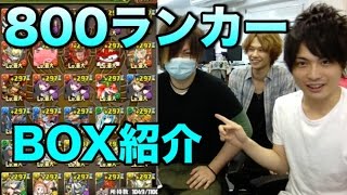 【パズドラ】800ランカーになった理事長のBOX紹介