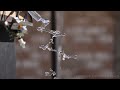 Amazing Water & Sound Experiment #2