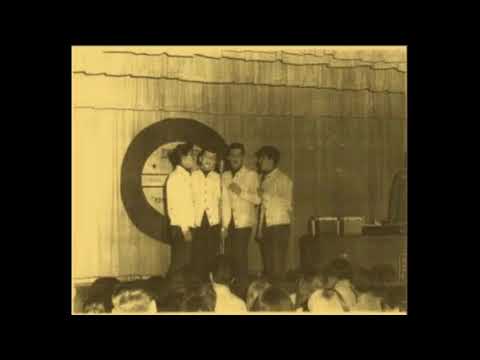 Frankie & the Fashions / Funny Girl / 4/10/1964
