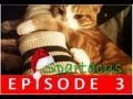 Spartacus : ma vie de chat - Episode 3 :