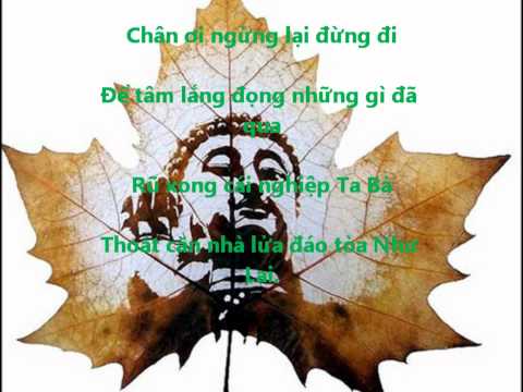 Ngồi Thiền (Có Phụ Đề)