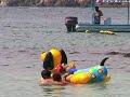 SI NO CONOCES LAS GATAS NO CONOCES IXTAPA-ZIHUATANEJO