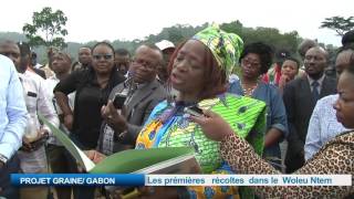 Projet Graine/GABON: les prémières récoltes dans le Woleu Ntem