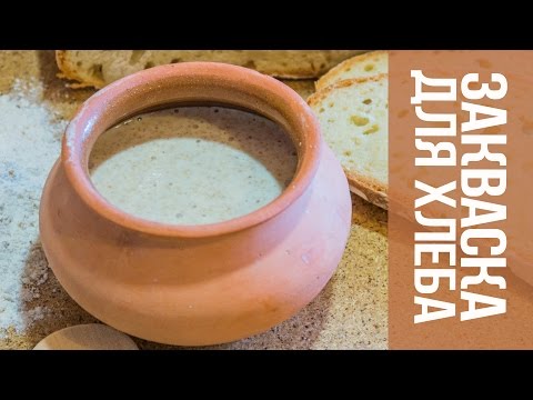Сделать закваску для хлеба в домашних условиях