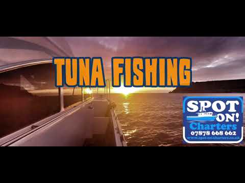 Bluefin Tuna fishing UK