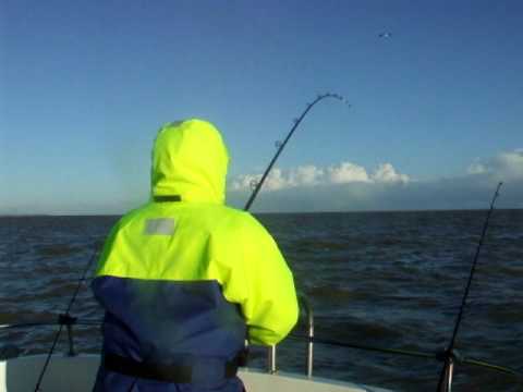 fishing for cod mersea island