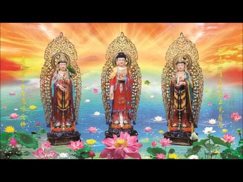 Quán Vô Lượng Thọ Phật Kinh Sớ Sao Diễn Nghĩa (28 Tập Và Còn Tiếp)