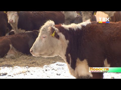 Профориентационные экскурсии по фермерским хозяйствам провели для школьников Искитимского района