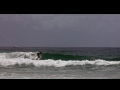 Nick Callister- Colour of Summer