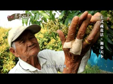 高雄農業故事館-荔枝(影片長度:15分33秒) 高雄農業故事館-荔枝(影片長度:15分33秒)