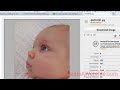 Build a Website With WordPress 3.5 (2013 Edition)
