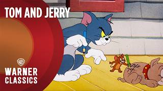 Tom a Jerry - Mega kompilace | Vol. 2