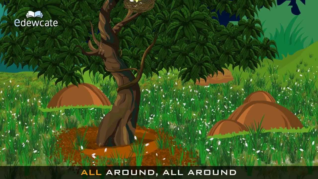 Edewcate english rhymes The green grass grows all around nursery