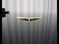 1 - Jag-D Glider