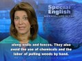 Inventor of Weed Eater Started a Revolution