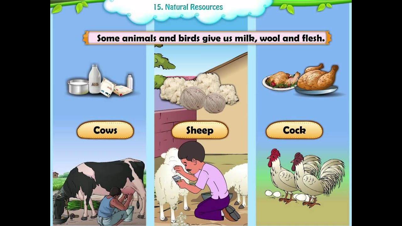 Learn Grade 2 - EVS - Natural Resources - YouTube