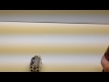 The RCNetwork - Tekin FXR / T45 Pro Motor Unboxing