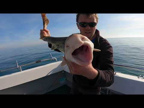 Boat fishing at anchor - finding new fishing grounds