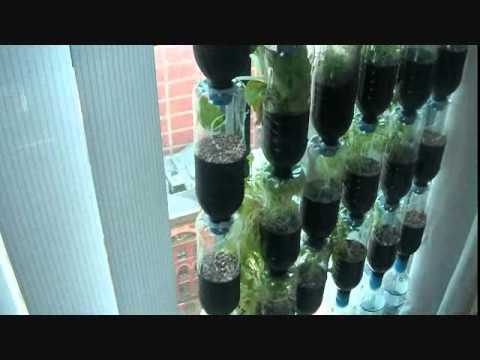 Bottle Garden Part2 - YouTube