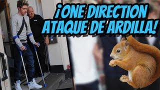 ¡One Direction Ataque de Ardilla!