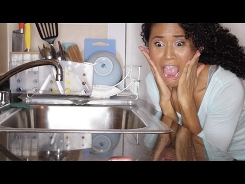 how to get rid of roach infestation in apartment