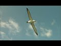 New Zealand Queenstown Promo video
