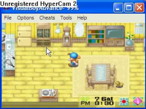 Harvest Moon Friends Of Mineral Town Cheats - YouTube