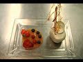 Ricetta Dessert: Dolce di crema bianca con mandorle e savoiardi. Video HQ