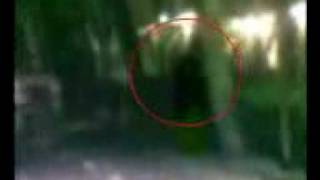 Miracle of Yogis .. Flying Siddha at Thiruvannamalai [www.Keep-Tube.com].3gp