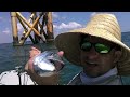 30milesOUT- HAMMER HEAD SHARK - hobie pro angler KAYAK FISHING OFFSHORE OIL RIGS