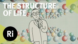 Celebrating Crystallography - An animated adventure