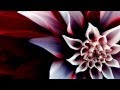 Enshad Ya Mawlay - Noureddine khourshid المنشد نور الدين خورشيد