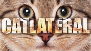 SIMULADOR DE GATO MALVADO - Mierdijuegos 29