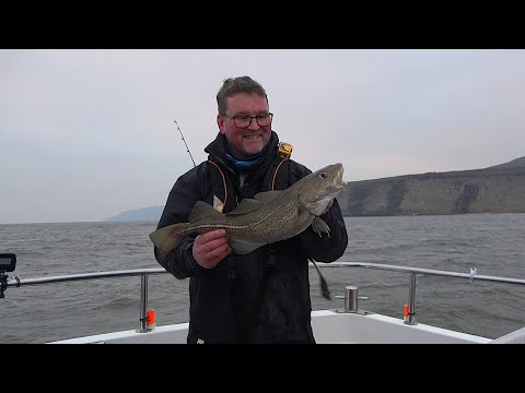 Uptiding for Codling at Whitby
