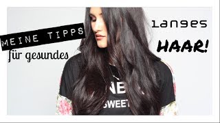 Meine TIPPS für GESUNDES & LANGES Haar! | Katharina Damm