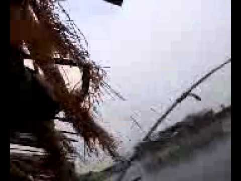 mancing mania - jatiluhur - YouTube