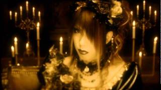 KISAKI PROJECT feat.砂月 - 勿忘草