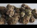 Purple Urkle / Purple Urkel & Lemon Kush Nugs Close Up Macro High Def HD 1080p