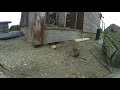 Hillbilly Gopher Trap - 12 gauge, fishing string, rat trap